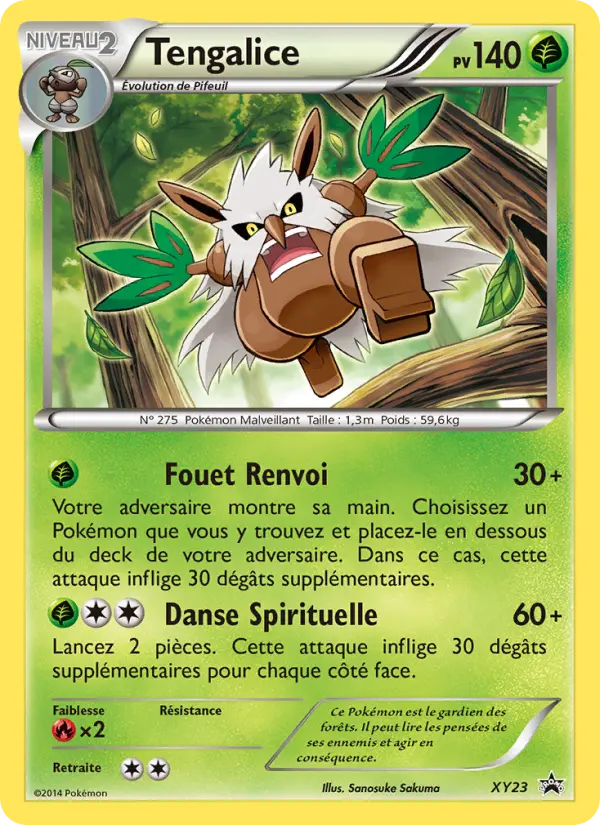 Scan HD carte Pokémon Tengalice XY23/211 — Promo XY