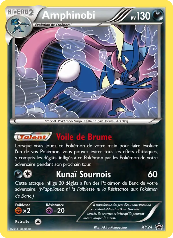 Scan HD carte Pokémon Amphinobi XY24/211 — Promo XY