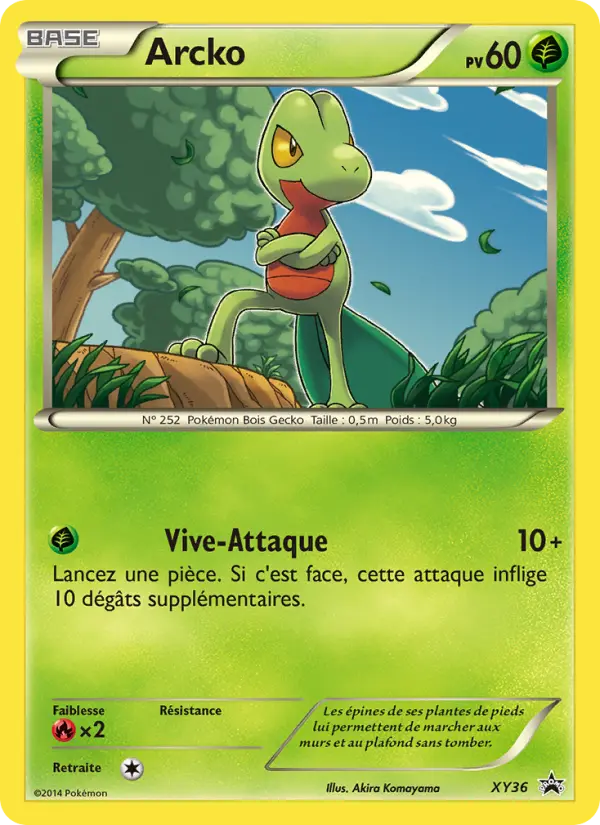 Scan HD carte Pokémon Arcko XY36/211 — Promo XY
