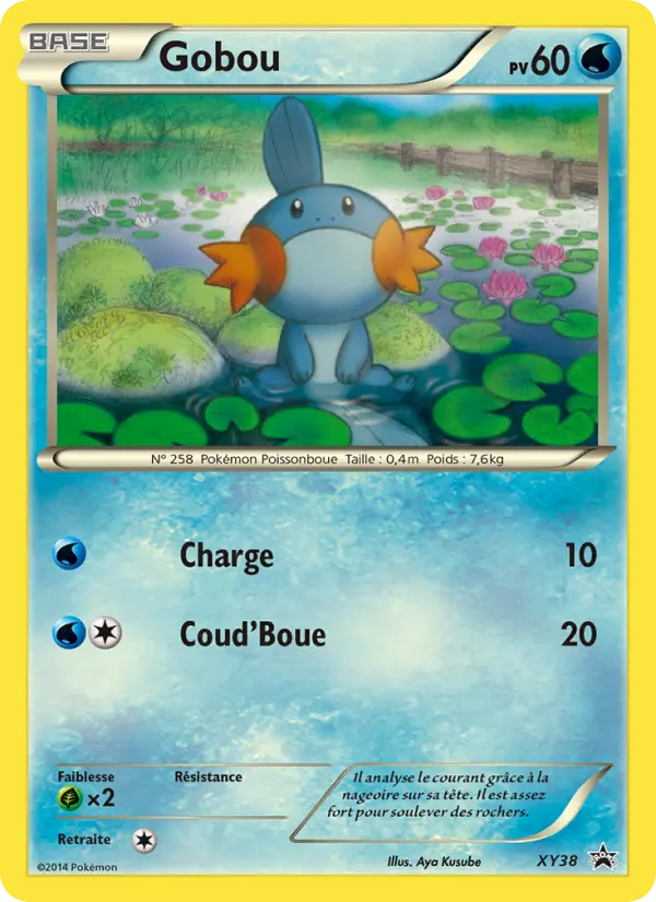 Scan HD carte Pokémon Gobou XY38/211 — Promo XY