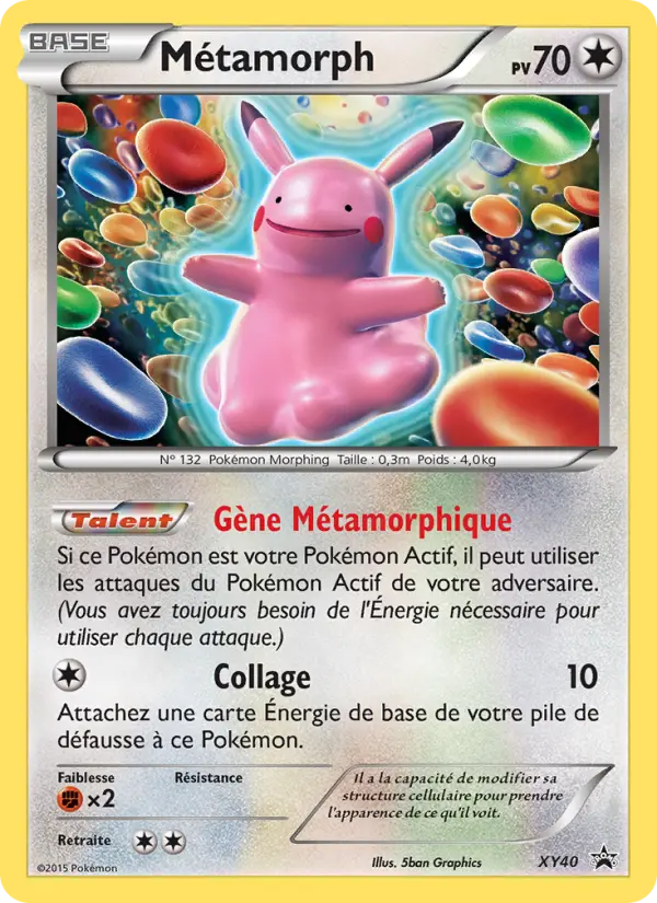 Scan HD carte Pokémon Métamorph XY40/211 — Promo XY