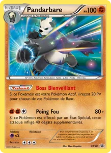 Pandarbare XY50 — Promo XY