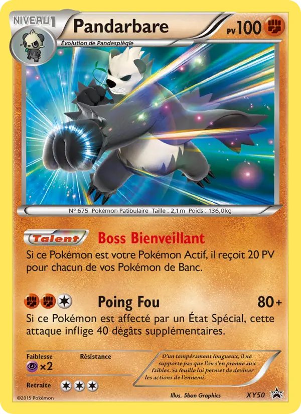 Scan HD carte Pokémon Pandarbare XY50/211 — Promo XY