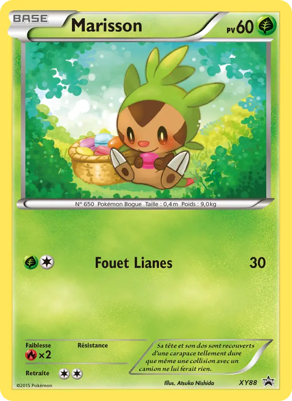 Scan HD carte Pokémon Marisson XY88/211 — Promo XY