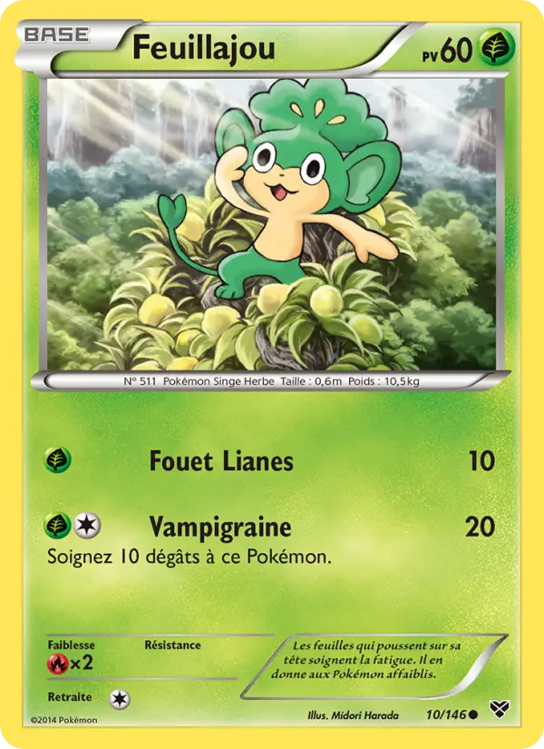 Scan HD carte Pokémon Feuillajou 10/146 — XY
