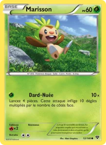 Marisson 12 — XY