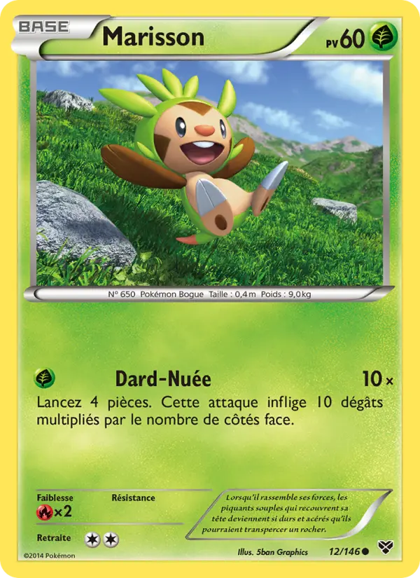 Scan HD carte Pokémon Marisson 12/146 — XY