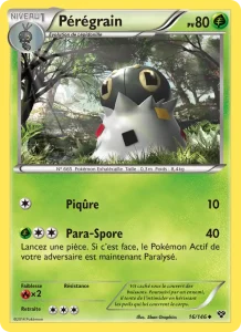 Pérégrain 16 — XY