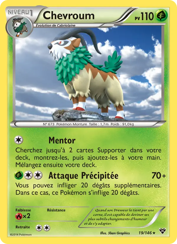 Scan HD carte Pokémon Chevroum 19/146 — XY