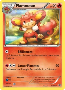 Flamoutan 23 — XY