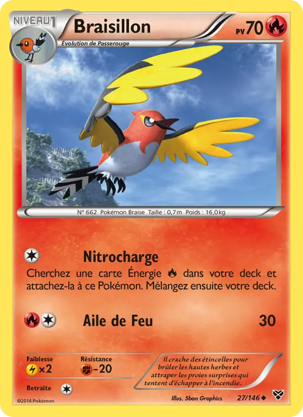 Scan HD carte Pokémon Braisillon 27/146 — XY