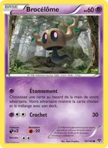 Brocélôme 54 — XY