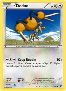 Doduo 98 — XY