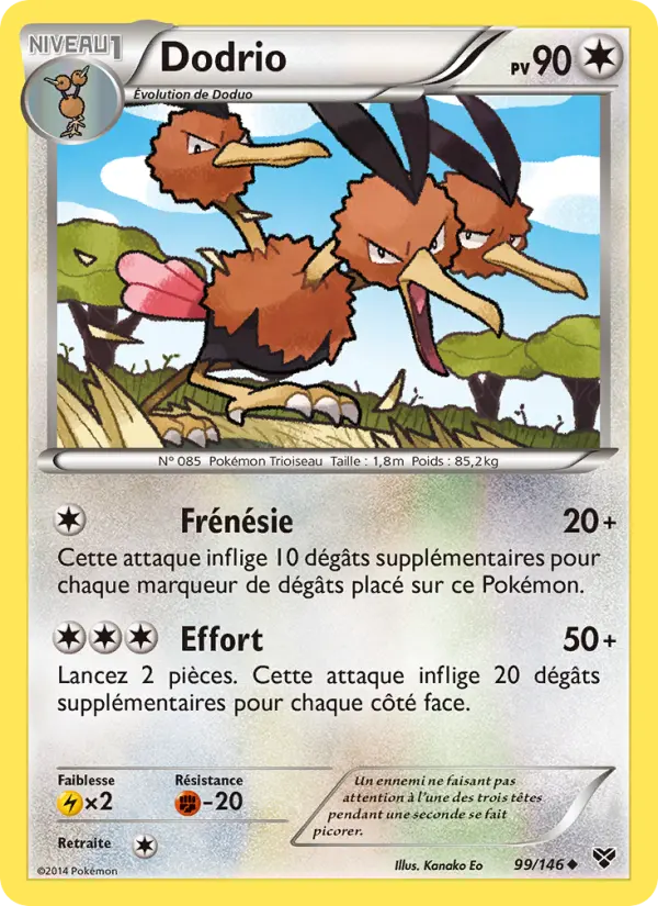 Scan HD carte Pokémon Dodrio 99/146 — XY