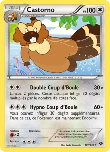 Castorno 107 — XY