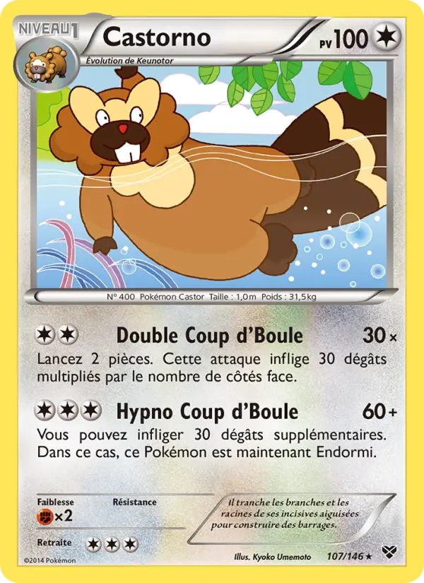 Scan HD carte Pokémon Castorno 107/146 — XY