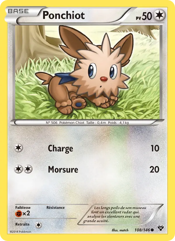 Scan HD carte Pokémon Ponchiot 108/146 — XY