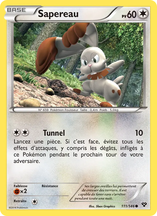Scan HD carte Pokémon Sapereau 111/146 — XY