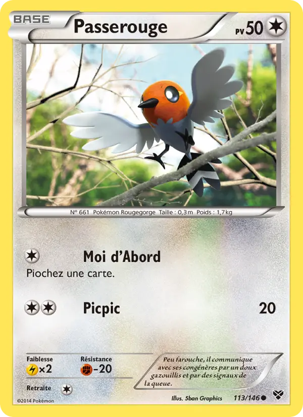 Scan HD carte Pokémon Passerouge 113/146 — XY