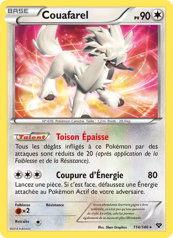 Scan HD carte Pokémon Couafarel 114/146 — XY