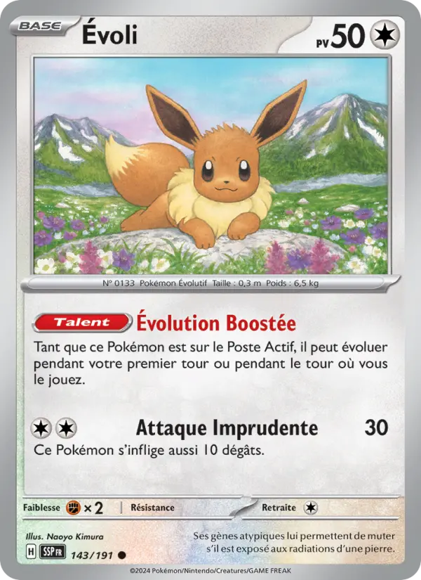 Scan HD carte Pokémon Évoli 143/191 — Étincelles Déferlantes