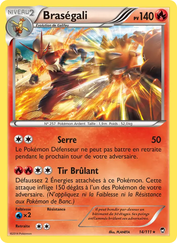 Scan HD carte Pokémon Braségali 14/111 — Poings Furieux
