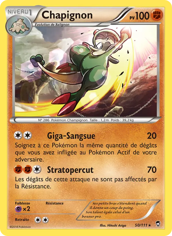 Scan HD carte Pokémon Chapignon 50/111 — Poings Furieux