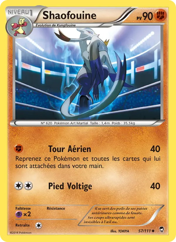 Scan HD carte Pokémon Shaofouine 57/111 — Poings Furieux