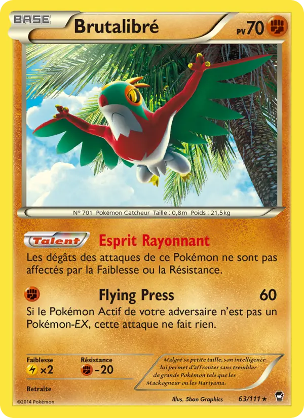 Scan HD carte Pokémon Brutalibré 63/111 — Poings Furieux