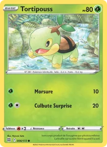 Carte Pokémon Tortipouss 006/172