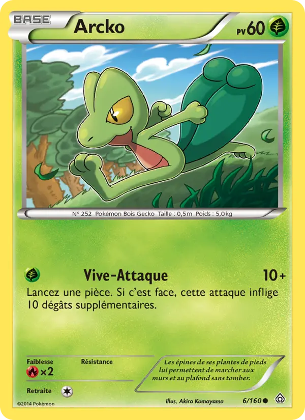 Scan HD carte Pokémon Arcko 6/160 — Primo-Choc