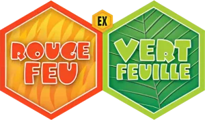 Logo collection Pokemon EX Rouge Feu & Vert Feuille